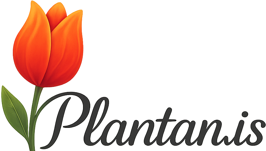 Plantan